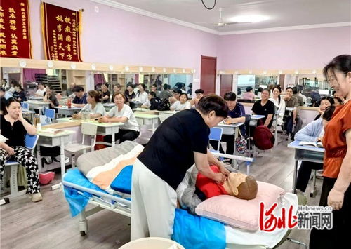 石家莊市橋西區(qū) 抓實(shí)技能培訓(xùn)，賦能職工就業(yè)——市場(chǎng)調(diào)查服務(wù)助力就業(yè)新路徑